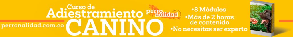 Banner adiestramiento